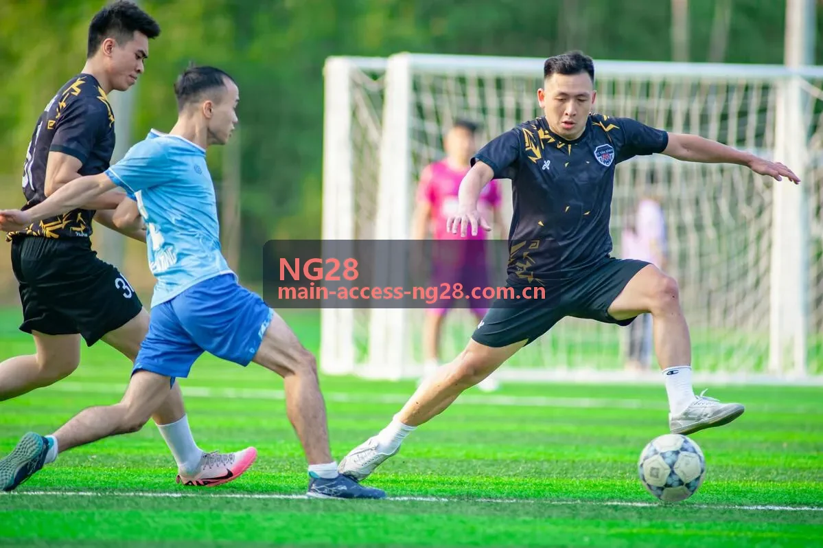 NG28赛事数据封面图